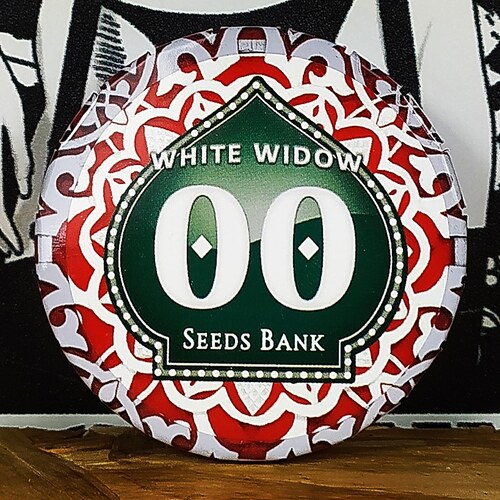 WHITE WIDOW 3 UD FEM 00 SEEDS