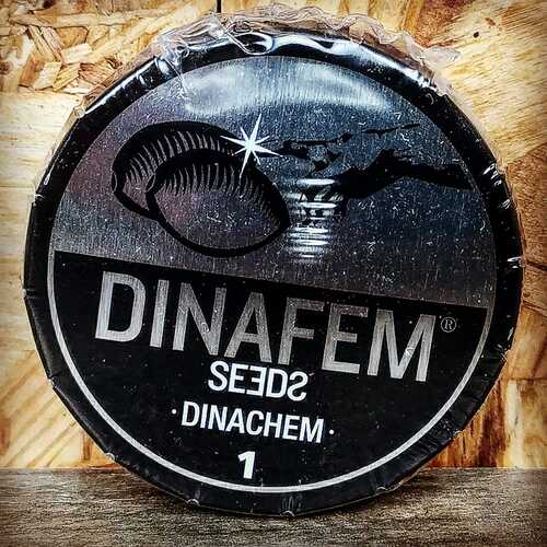 DINACHEM (1UD) FEM DINAFEM