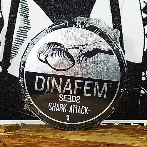 SHARK ATTACK 1UD FEM DINAFEM