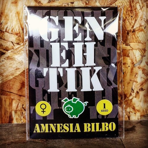 AMNESIA BILBO (1 UD) FEM GENEHTIK