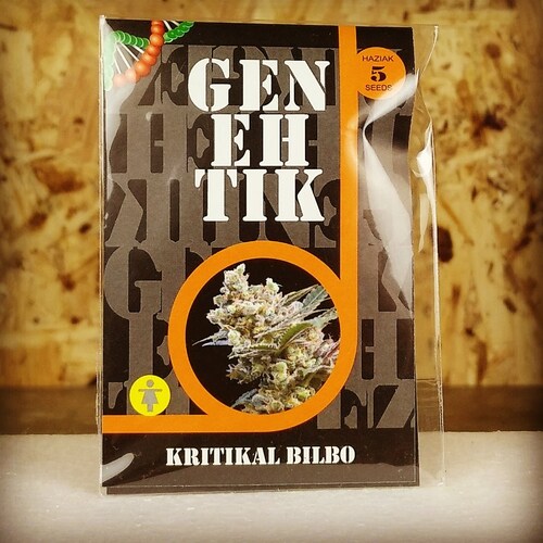 AMNESIA BILBO (5 UD) FEM GENEHTIK