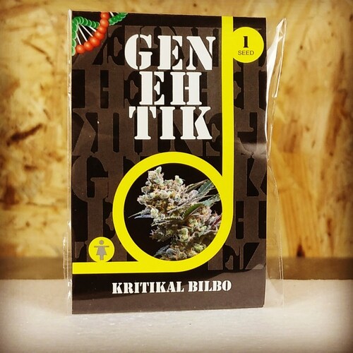 KRITIKAL BILBO (1 UD) FEM GENEHTIK