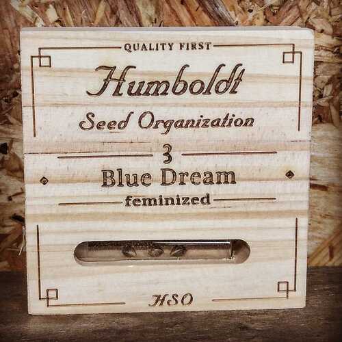 BLUE DREAM (3 UD) FEM HUMBOLDT SEEDS ORG