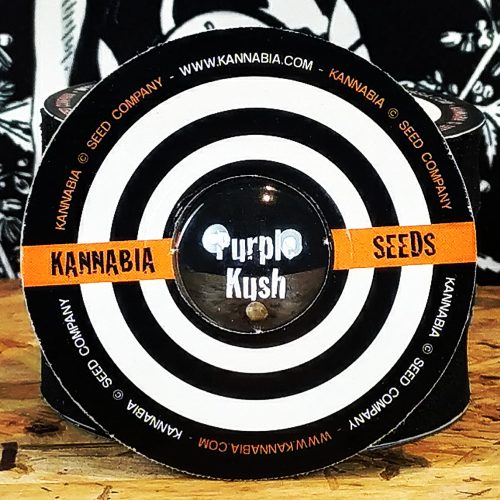 PURPLE KUSH 1UD FEM KANNABIA SEEDS