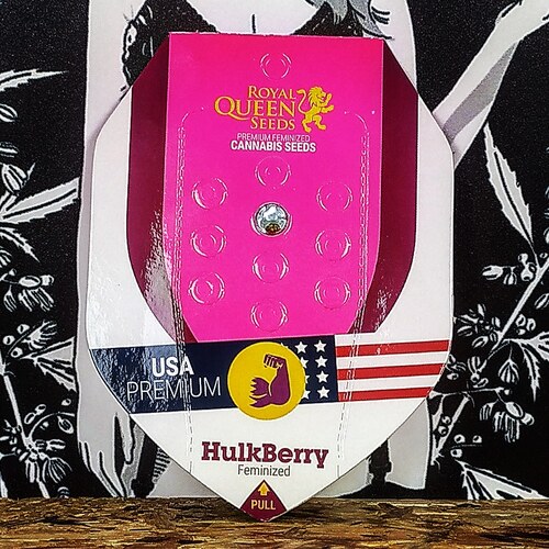 HULK BERRY (1 UD) FEM ROYAL QUEEN