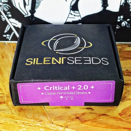 CRITICAL + 2.0 (5UD) FEM SILENT SEEDS