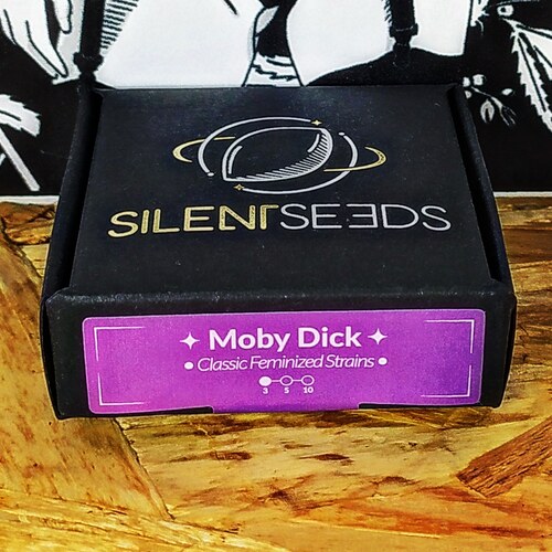 MOBY DICK (3UD) FEM SILENT SEEDS