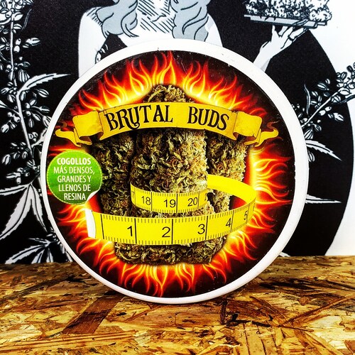 BRUTAL BUDS 250GR