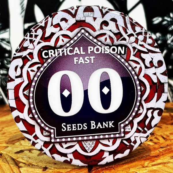 CRITICAL POISON FAST 3UDS FEM 00 SEEDS