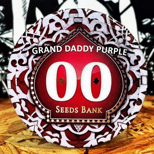 GRAND DADDY PURPLE 3UDS FEM 00 SEEDS