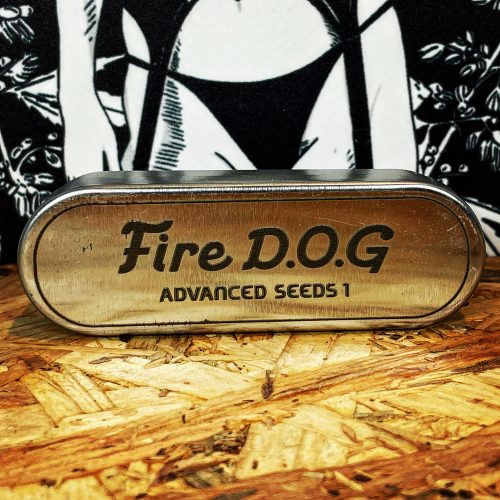 FIRE DOG 1UD FEM ADVANCED SEEDS