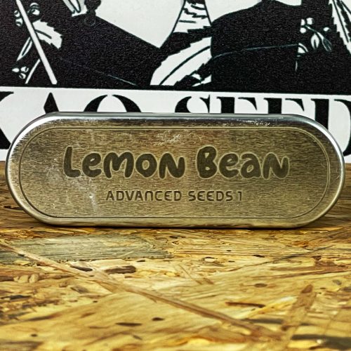 LEMON BEAN (1UD) FEM ADVANCED SEEDS