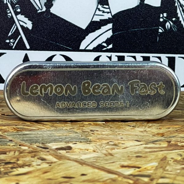 LEMON BEAN FAST (1UD) FEM ADVANCED SEEDS