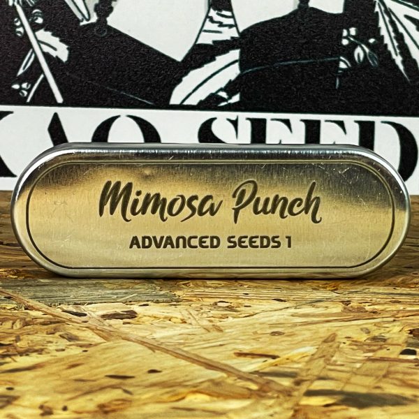 MIMOSA PUNCH (1UD) FEM ADVANCED SEEDS