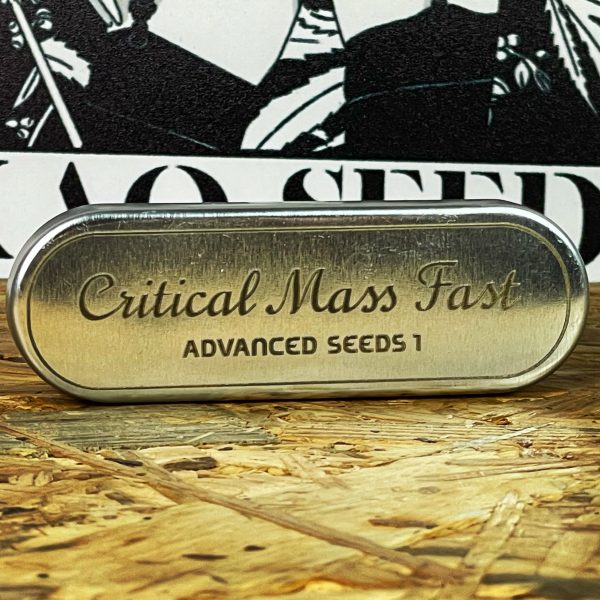 CRITICAL MASS FAST (1UD) FEM ADVANCED SEEDS