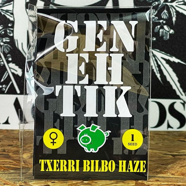 TXERRI BILBO HAZE (1UD) FEM GENEHTIK