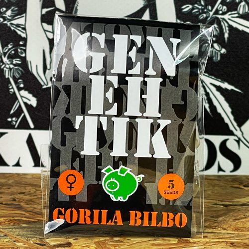 GORILA BILBO (5UD) FEM GENEHTIK