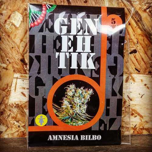 AMNESIA BILBO (5 UD) FEM GENEHTIK